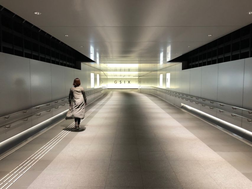 Private Ginza Architecture Tour - Ending at Ginza 4-chome and Wako