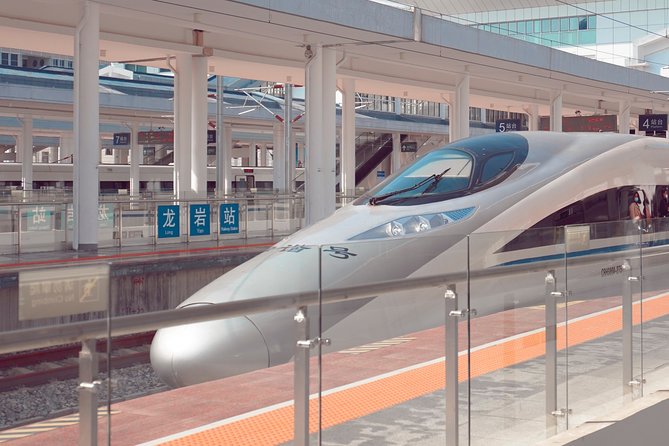Private Hakone Tour - View of Mt. Fuji, Nature and Culture - Choosing Between Art and an Onsen