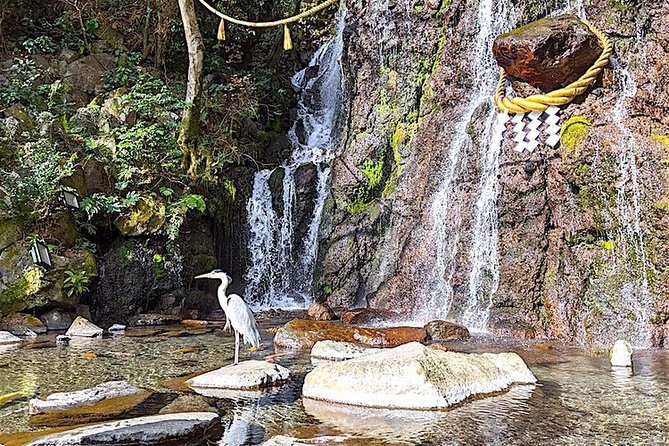 Private Hakone Tour - View of Mt. Fuji, Nature and Culture - A Short Stop in Hakone Yumoto