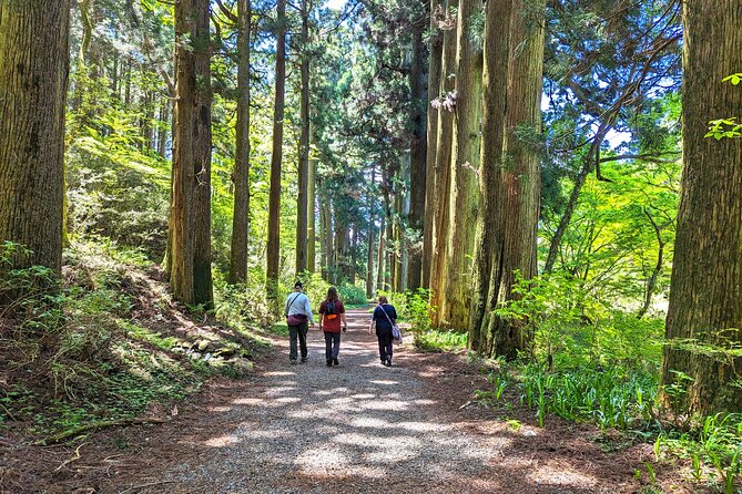 Private Hakone Tour - View of Mt. Fuji, Nature and Culture - Crossing Lake Ashi by Sightseeing Cruise