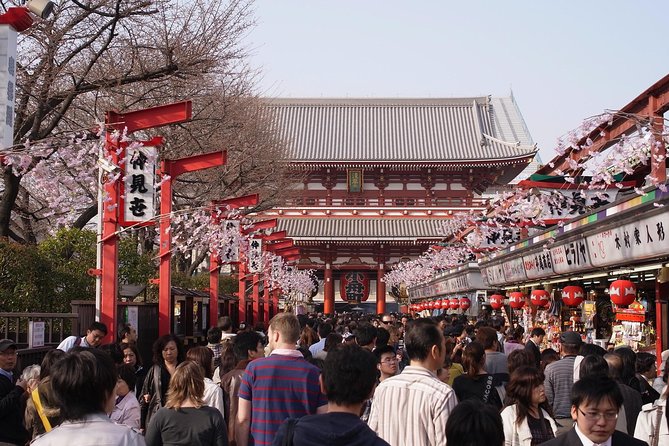 Private Japanese Sample Food Making and Asakusa History Tour - Guide support and the family question