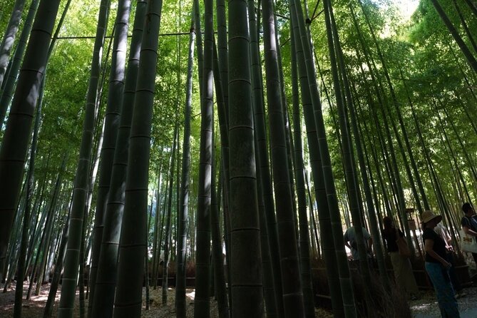 Private Kamakura Early Morning Tour (Tokyo Departure Available) - Is $54.87 a fair price?
