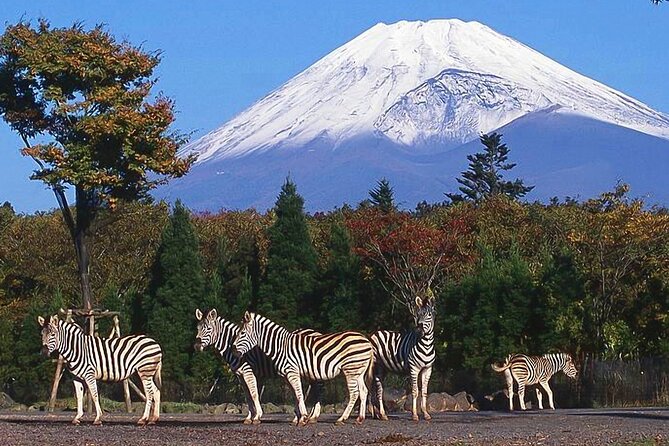 Private Mount Fuji and Hakone City Tour In luxury car from Tokyo - Lake Kawaguchiko and the Fuji view