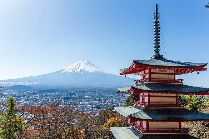 Private Mount Fuji and Hakone City Tour In luxury car from Tokyo - Fuji Safari Park and freely roaming animals