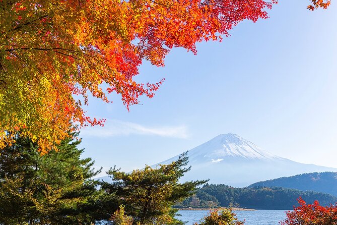 Private Mount Fuji and Hakone City Tour In luxury car from Tokyo - Shiraito Falls, a quick first stop