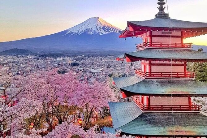 Private Mount Fuji Tour in Luxury Vehicle with English Guide - Oshino Hakkai, beautiful but busy