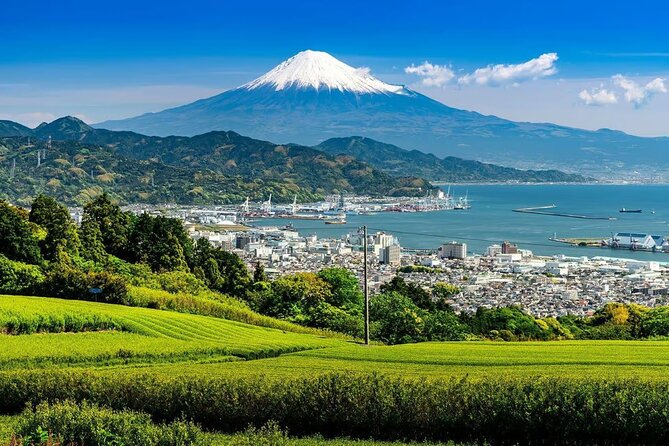 Private Mount Fuji Tour in Luxury Vehicle with English Guide - Kitaguchi Hongu Fuji Sengen Shrine