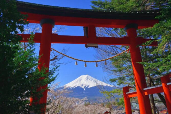 Private Mount Fuji Tour in Luxury Vehicle with English Guide - Owaku-dani Valley and Hakone’s volcanic ground