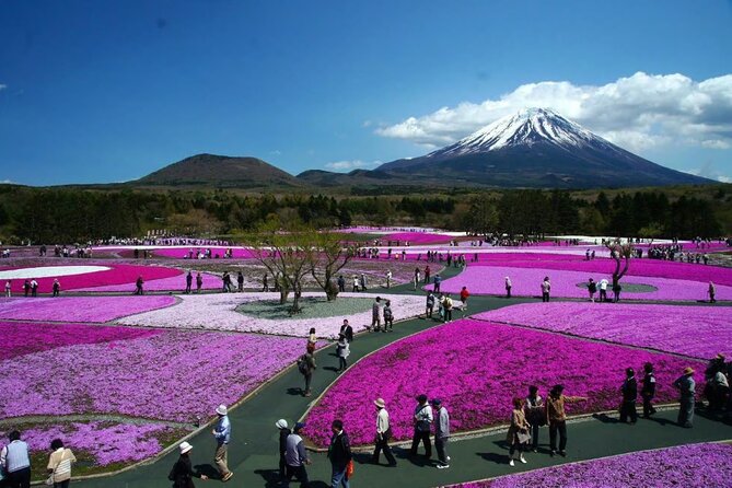 Private Mount Fuji Tour in Luxury Vehicle with English Guide - Subaru Line 5th Station, Mount Fuji at 2,200 meters