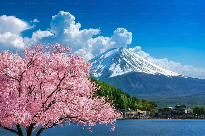Private Mount Fuji Tours with Car Pickup from Tokyo - Mount Fuji 5th Station and the changing access rules