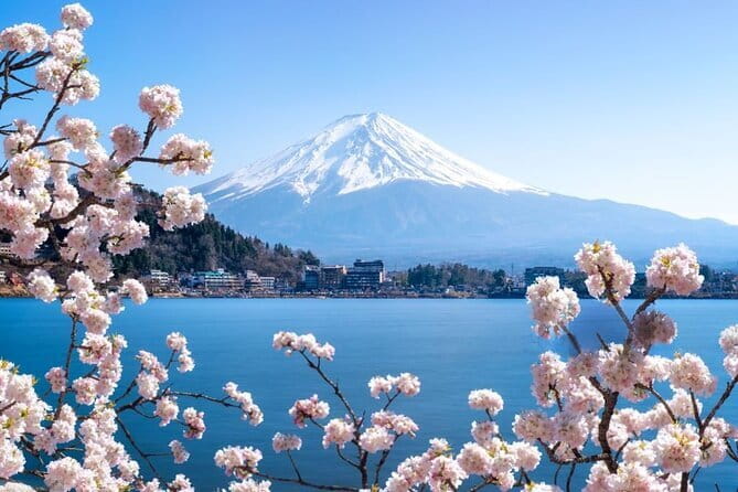 Private Mount Fuji Tours with Car Pickup from Tokyo - Oishi Park and Saiko Iyashi no Sato Nemba