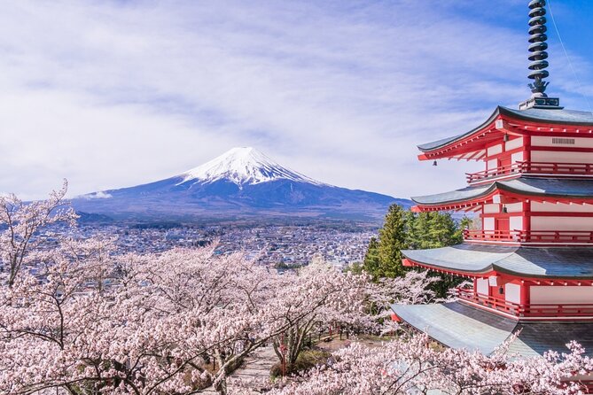Private Mt. Fuji Custom Tour from Tokyo - Why a private car makes sense for a Fuji day