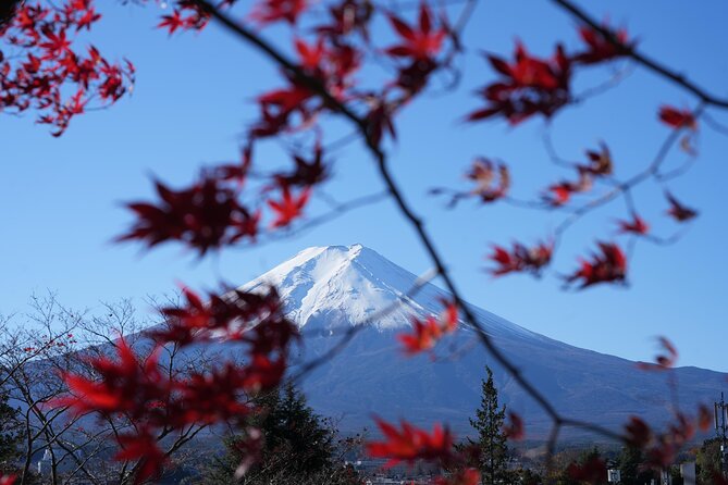 Private Mt. Fuji Day Trip from Tokyo with English-Speaking Driver - Lake Kawaguchi and the Kachi-Kachi Ropeway