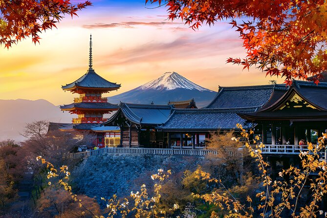 Private Mt. Fuji Day Trip from Tokyo with English-Speaking Driver - Mt. Fuji 5th Station at roughly 2,300 meters