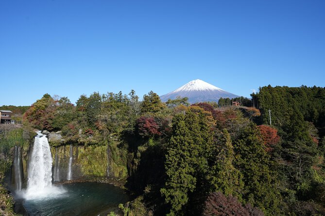 Private Mt. Fuji Day Trip from Tokyo with English-Speaking Driver - Two shrines with very different moods