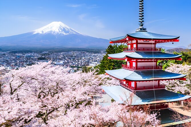 Private Mt. Fuji Day Trip from Tokyo with English-Speaking Driver - Oshino Hakkai: clear springs and Fuji village scenery