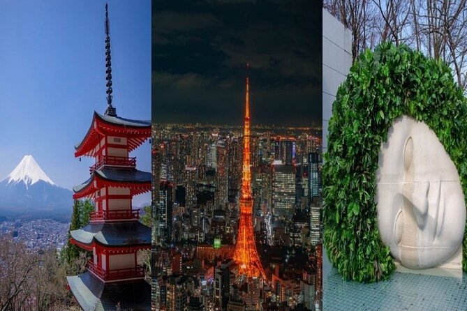 Private Mt Fuji, Hakone and Tokyo Tour - English Speaking Driver - The Fuji Panoramic Ropeway gives you a high viewpoint