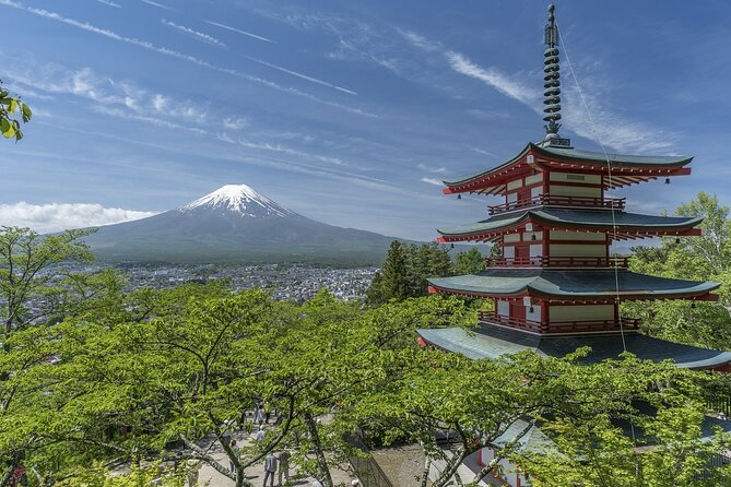 Private Mt Fuji, Hakone and Tokyo Tour - English Speaking Driver - Mt. Fuji’s 5th Station is the day’s big mountain moment