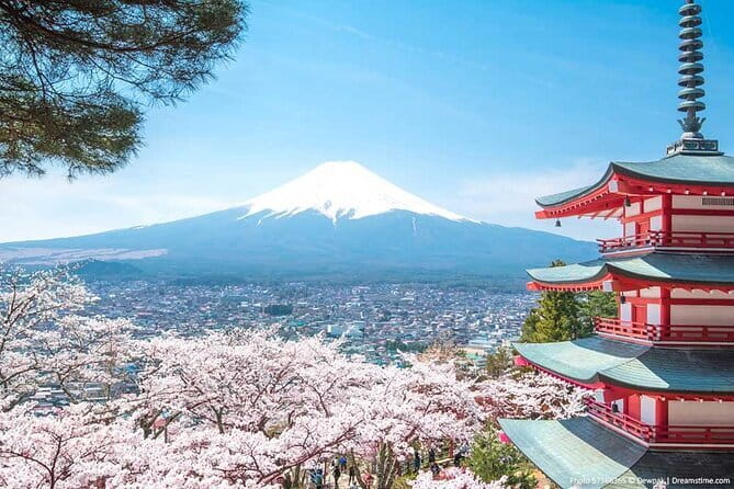 Private Omiya Bonsai Village Tour with Licensed Guide - What the $107.50 Price Really Covers