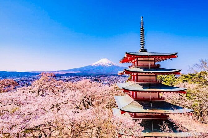 Private Sightseeing to Mt Fuji and Hakone with English Driver - Key points to know before booking