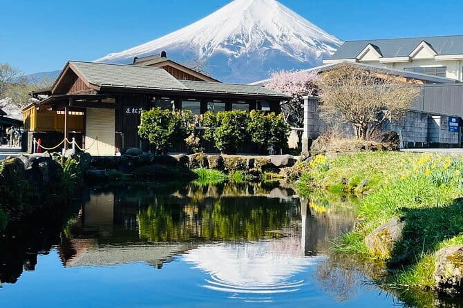 Private Sightseeing to Mt Fuji and Hakone with English Driver - Chureito Pagoda and the famous Fuji picture