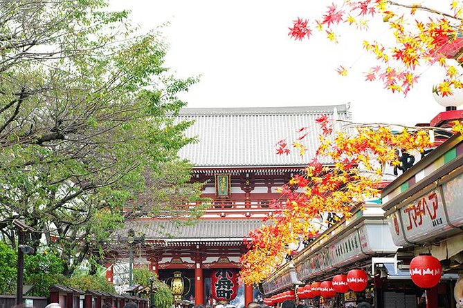 Private Tokyo Custom Full-Day Tour by Chartered Vehicle - Harajuku gives the day a younger edge