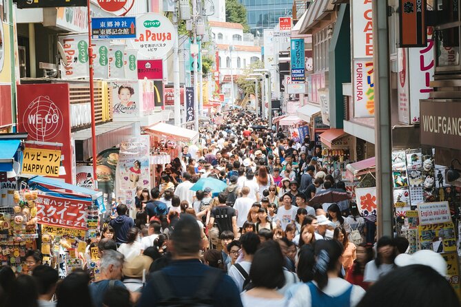 Private Tokyo Custom Full-Day Tour by Chartered Vehicle - Shibuya Crossing closes the city sampler