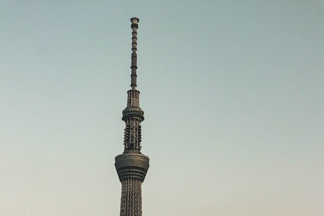 Private Tokyo Day-Tour by Car with English Speaking Guide. - Why a private car helps in Tokyo