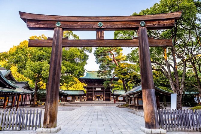 Private Tokyo Tour with English Speaking Guide - Asakusa and Senso-ji: old Tokyo in two linked stops