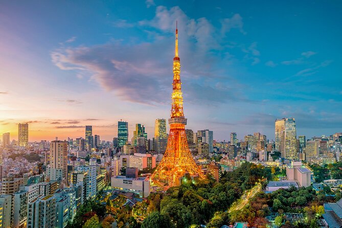 Private Tokyo Tour with English Speaking Guide - Akihabara: electronics, anime, and games