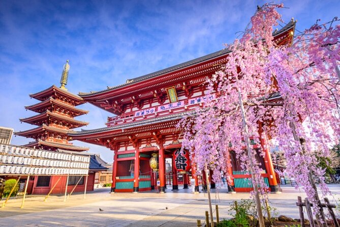 Private Tokyo Tour with English Speaking Guide - Meiji Shrine: a quiet break near the city center