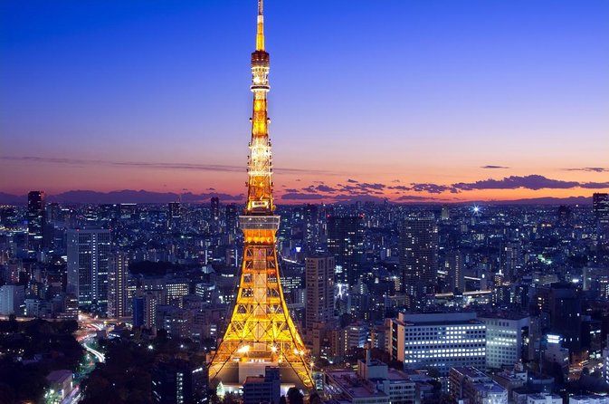 Private Tokyo Tour with Licensed Guide & Vehicle (Max 15 persons) - Key points at a glance