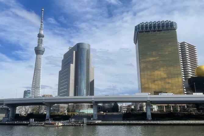 Private Tokyo Tour with Local Guide - Tsukiji for food, markets, and a morning start