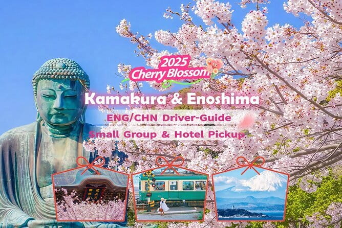 Private Tokyo Tour with Local Guide - Walking, trains, and the real value of the $130 price