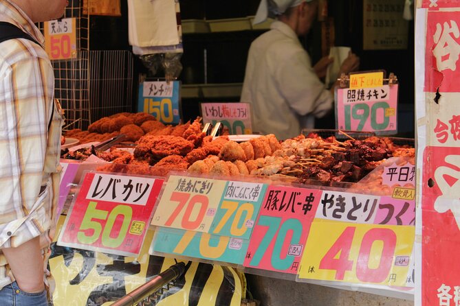 Private Tokyo Walking Tour with A Guide: Higlights & Customizable - Akihabara explains more than electronics