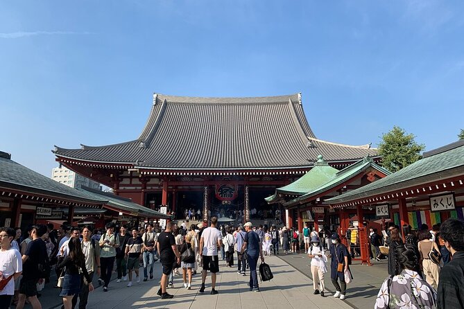 Private Tokyo Walking Tour with A Guide: Higlights & Customizable - Roppongi Hills mixes art, shops, and city views