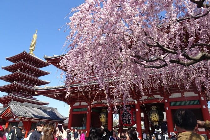 Private Tokyo with Exceptional Guide Tailored to Your Needs - Four hours or eight hours in Tokyo