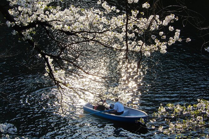 Private Tour - History, Art and Nature at the Imperial Palace - Lunch at CAFÉ 33 in Kitanomaru Park
