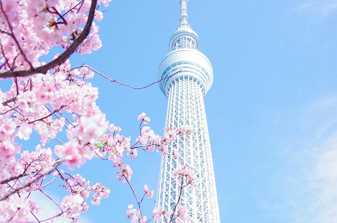 Private Tour in Tokyo with English speaking driver - Meiji Shrine, Yoyogi Park, and Takeshita Street