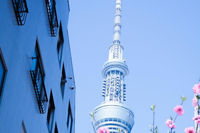 Private Tour in Tokyo with English speaking driver - Senso-ji and old Tokyo in Asakusa