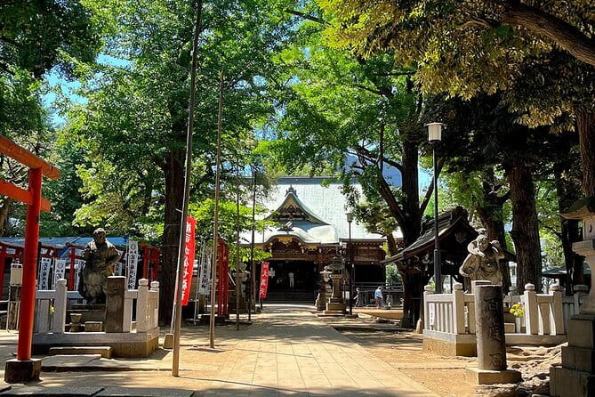 Private Tour in Tokyo with Local Guide - Harajuku: Takeshita Street, Meiji Shrine, and Omotesando