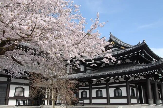 Private Tour Kamakura Yokohama Day Trip English speaking driver - Hase-dera and its massive Kannon image