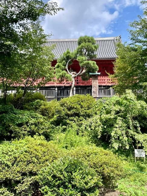 Private Tour Through the Tokyo National Museum & Ukiyo-e - Ueno Toshogu Shrine and its Tokugawa connection