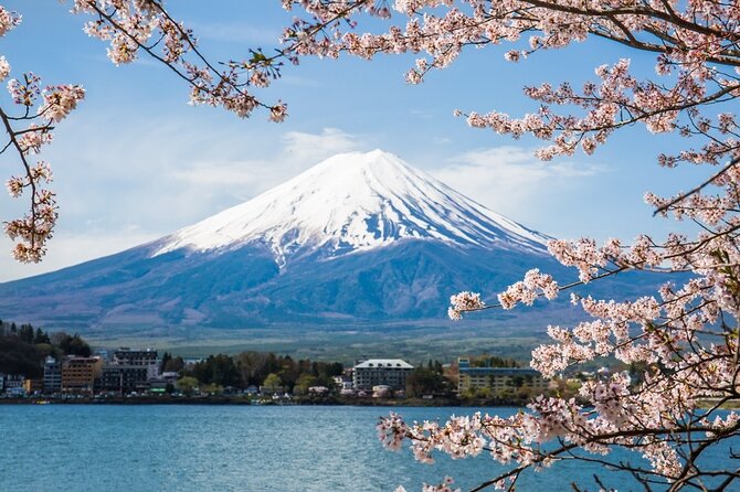 Private tour to Mount Fuji and Hakone from Tokyo - A private Mount Fuji day with more choice than a bus tour