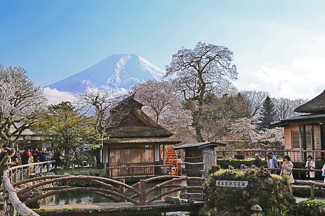 Private tour to Mount Fuji and Hakone from Tokyo - Chureito Pagoda gives you the classic Fuji photograph
