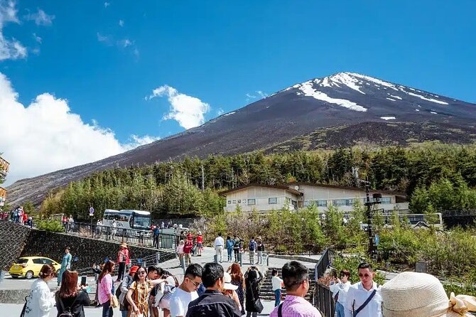 Private tour to Mount Fuji and Hakone from Tokyo - Oishi Park brings flowers and open lake views