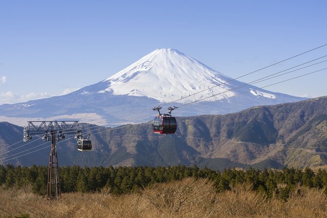 Private tour to Mount Fuji and Hakone from Tokyo - Hakone Shrine and Lake Ashi make a different kind of day