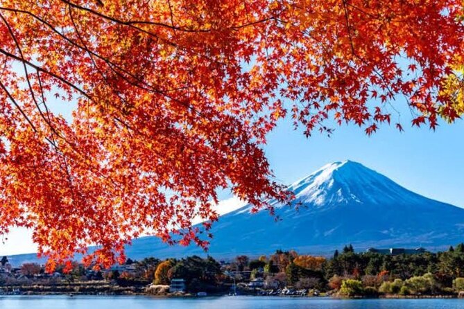 Private tour to Mount Fuji with an English driver from Tokyo - Oishi Park and Lake Kawaguchi photo time