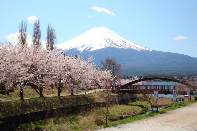 Private tour to Mount Fuji with an English driver from Tokyo - Fuji-Q Highland: an important itinerary warning