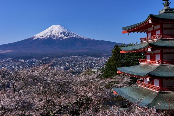 Private tour to Mount Fuji with an English driver from Tokyo - Oshino Hakkai and Fujiyoshida for a closer look at local life